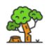 deforestation